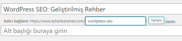 url düzenleme