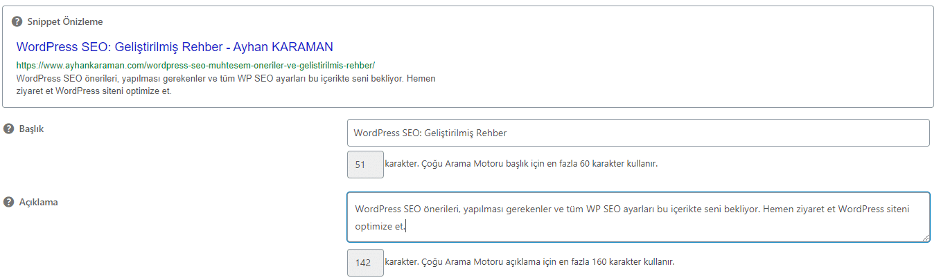 WP içerik SEO ayarları