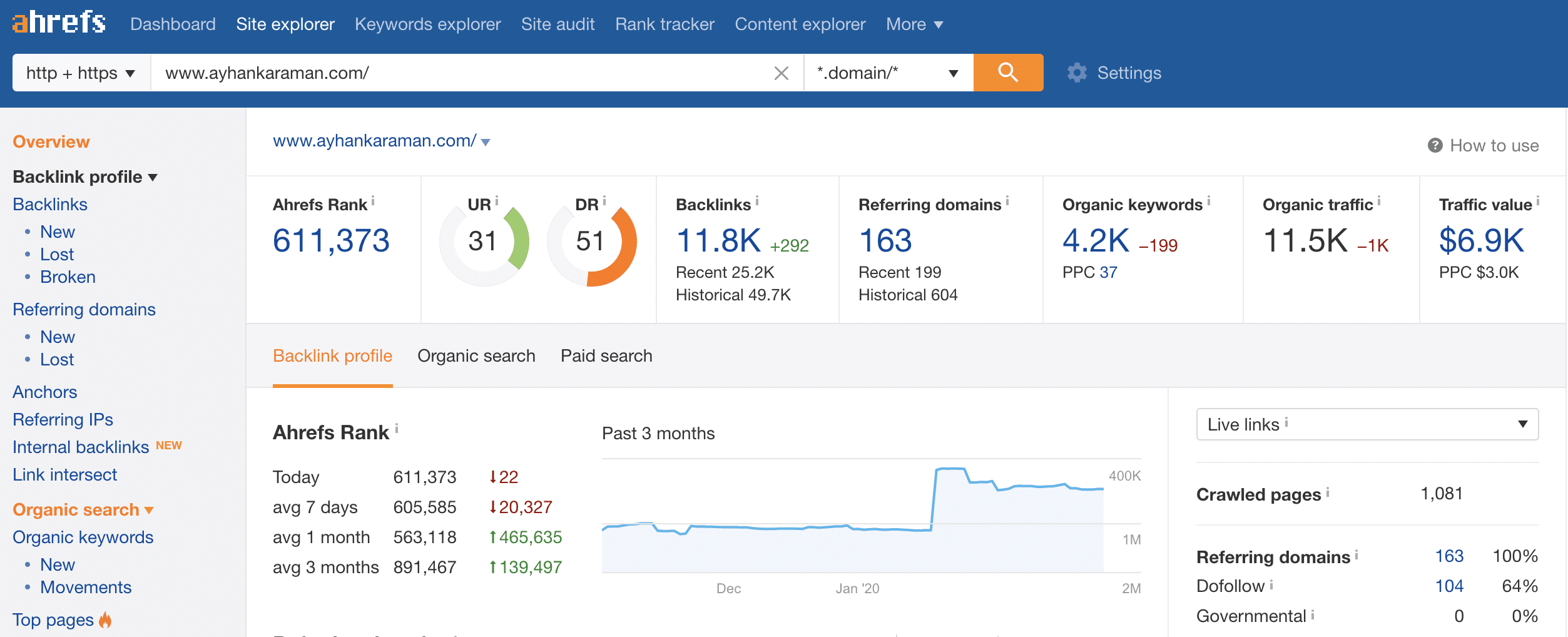 backlink analizi raporu ayhan