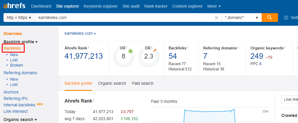 backlink raporu