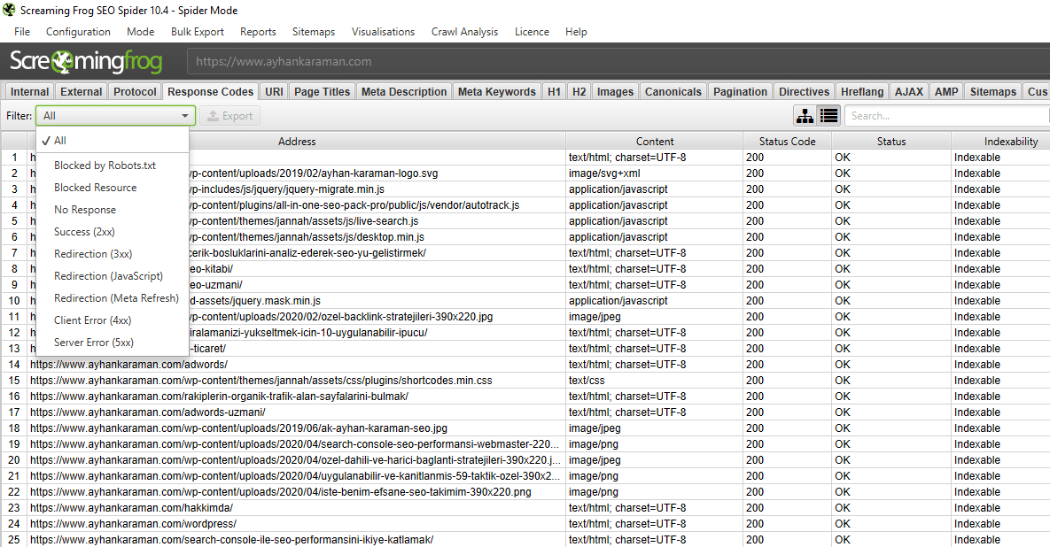 Screaming Frog Durum Kodları