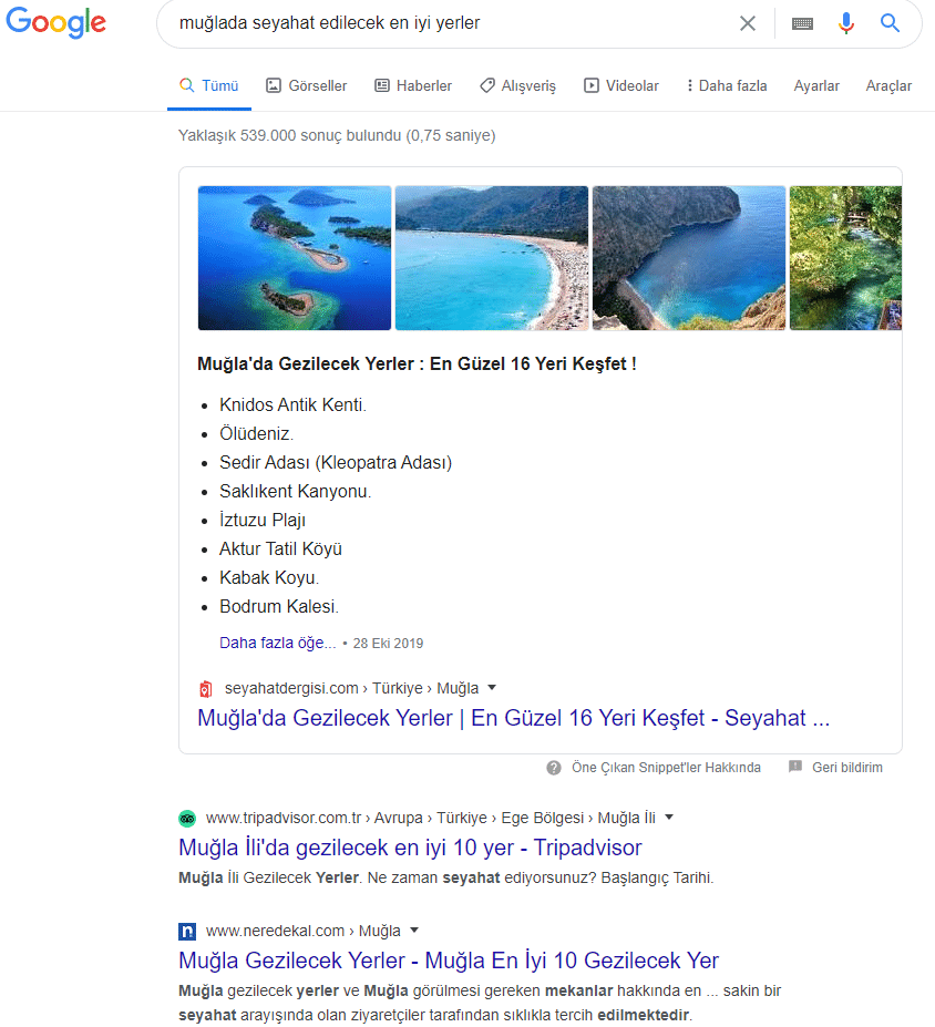 SERP Örneği