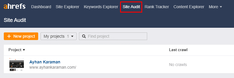 site audit